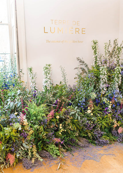 Provence Comes To London